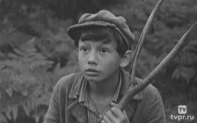 О чём молчала тайга