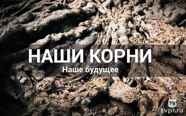 Наши корни - наше будущее