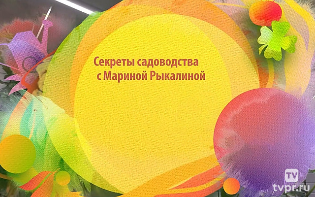 Секреты садоводства с Мариной Рыкалиной. Октябрь