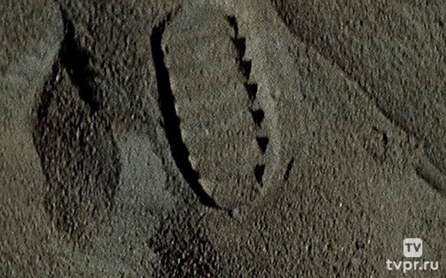 Лунная миссия