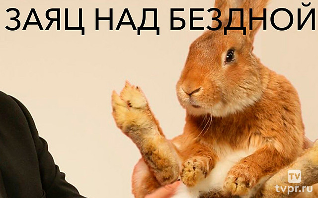 Заяц над бездной