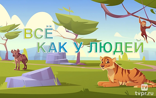 Вcё как y людей