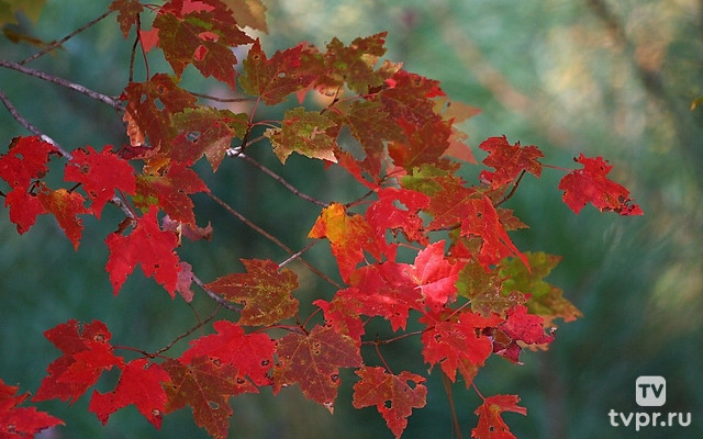 В октябре на одном часу и дождь, и снег
