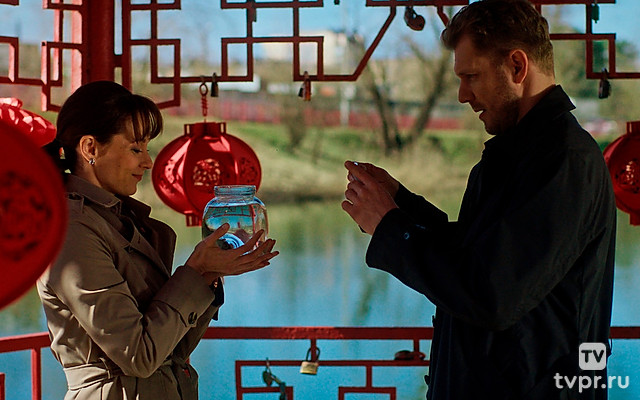 Денежное дерево