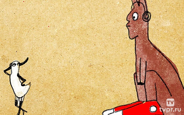 Уточка и Кенгуру