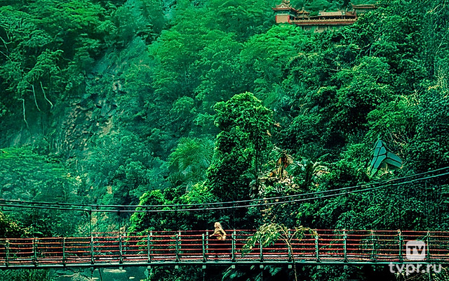 Ресторан на краю света