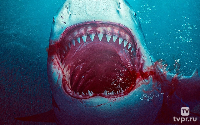 Тихое озеро