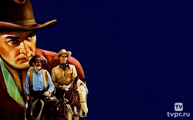 Серебро на мудреце