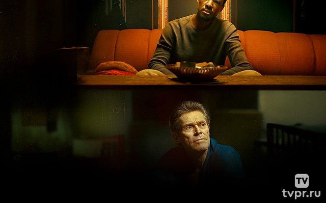 Мужчина у меня в подвале