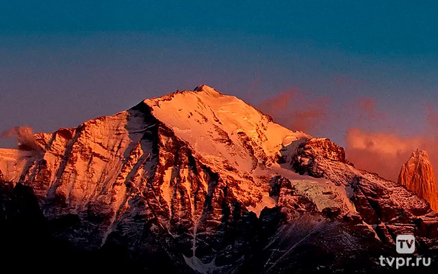 Дикая природа Чили