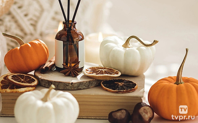 Осенние квадраты