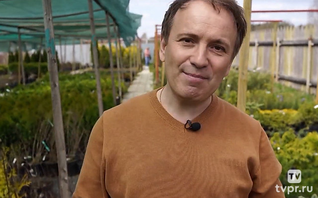 Садовые премудрости