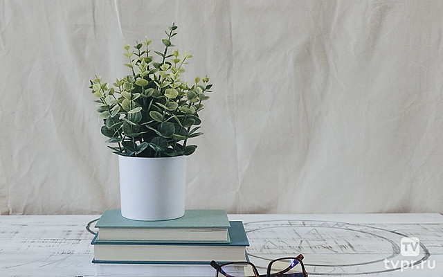 Долина Ропояна Черногория