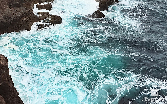 Бухта Теляковского