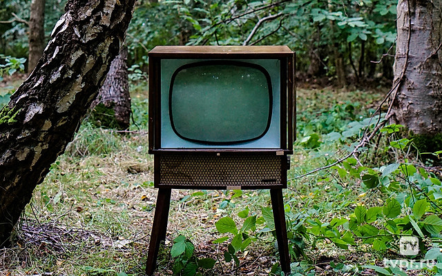 Заповедное путешествие