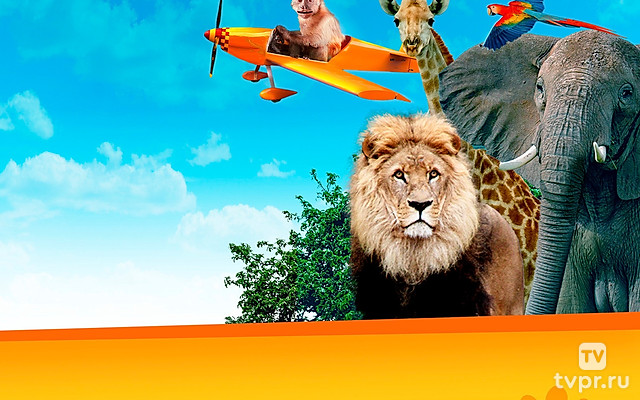 Побег из зоопарка