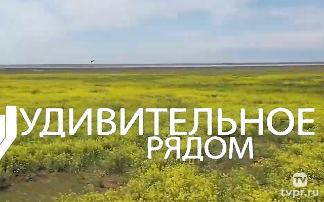 Удивительное рядом