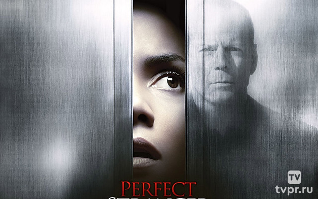 Идеальный незнакомец