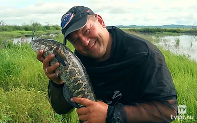 Дальневосточные путешествия