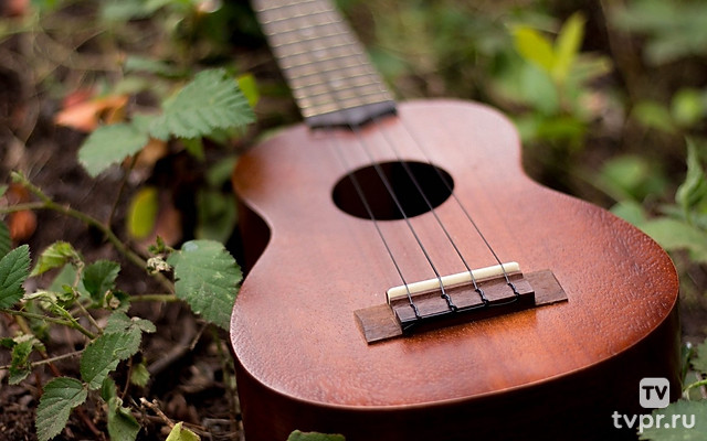 Ноябрьские посиделки