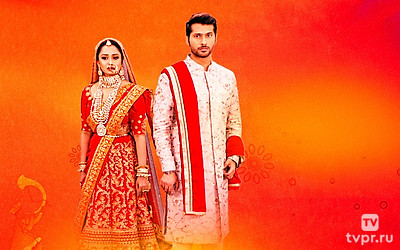 Спутник моей жизни