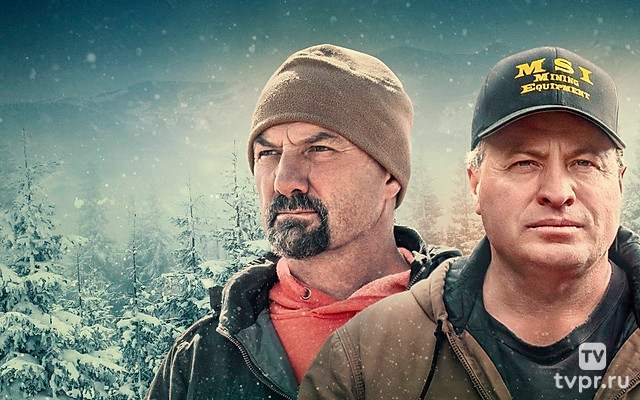 Золотая лихорадка