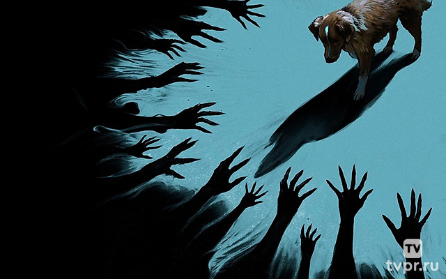 Глазами пса