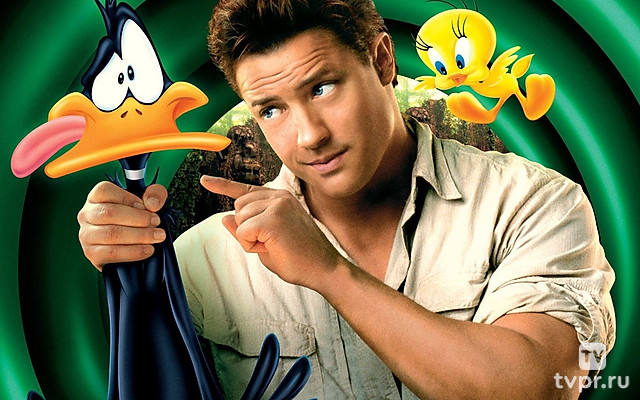 Луни Тюнз: Снова в деле