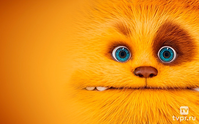 Пушистое превращение