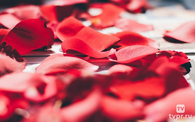 Молодые и милые