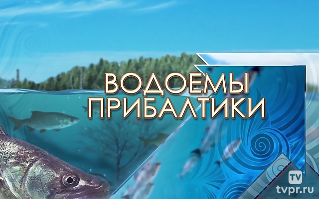 Водоёмы Прибалтики