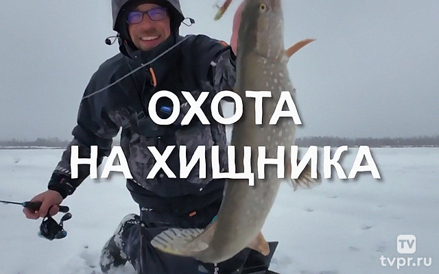 Охота на хищника