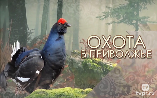 Охота в Приволжье