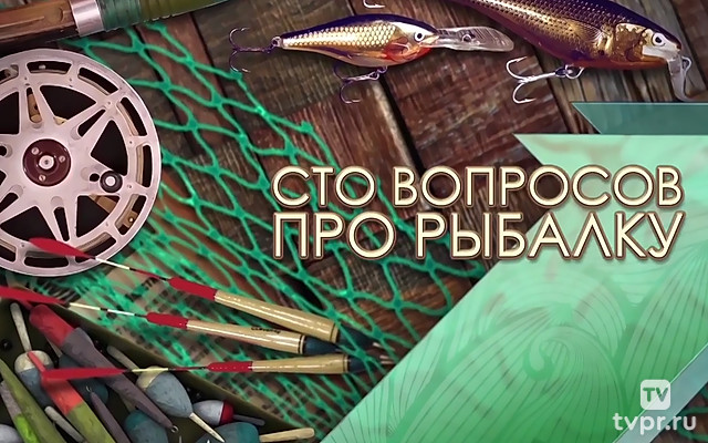 Сто вопросов про рыбалку