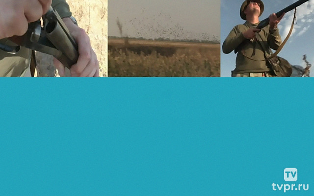 Сезон охоты