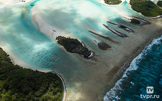 Острова Общества и архипелаг Туамоту. Цвета рая