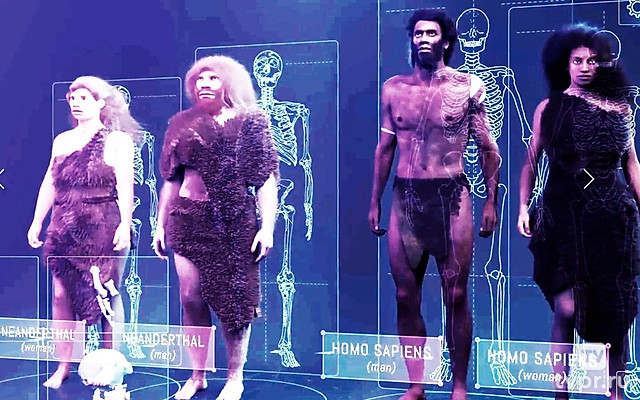 Неандертальцы против хомо сапиенс