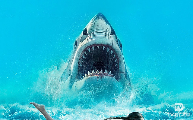 Осторожно, акула
