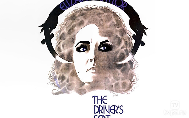 Место водителя