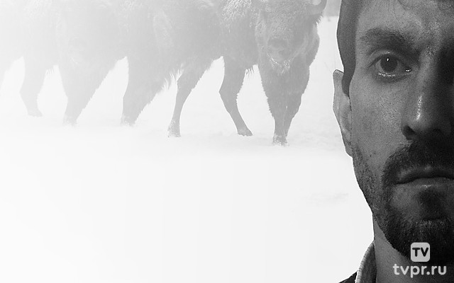 Презумпция согласия