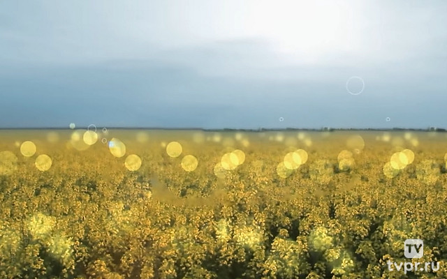 Всем всего хорошего