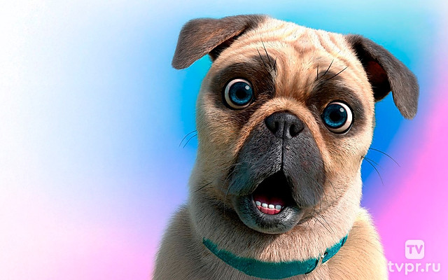 Крутой Майк