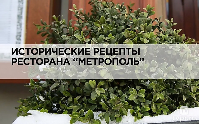 Исторические рецепты ресторана «Метрополь»