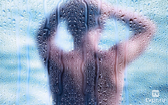 Красотки любят члены 5