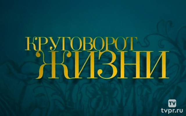 Круговорот жизни