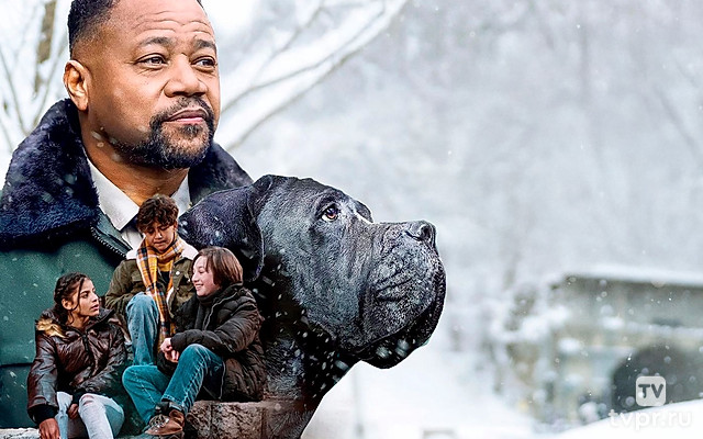 Собачий патруль: Операция «Санта Лапкус»