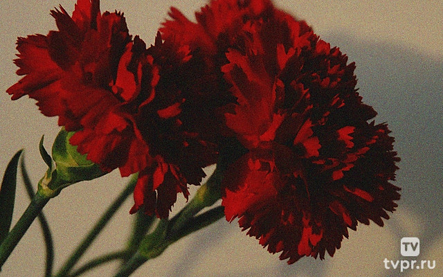 80 лет Великой Победе