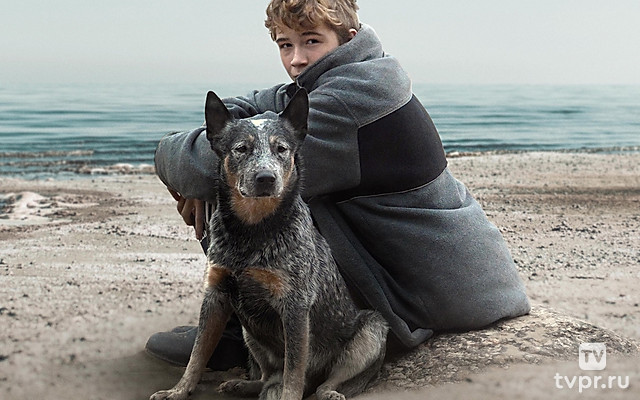 У самого Белого моря