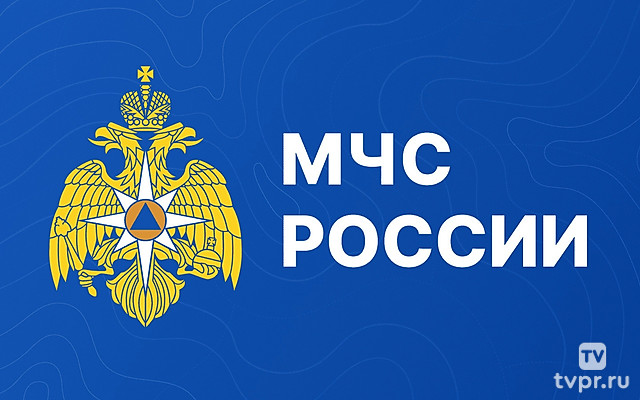 МЧС