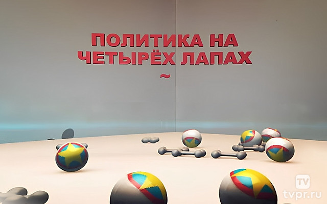 Политика на четырёх лапах